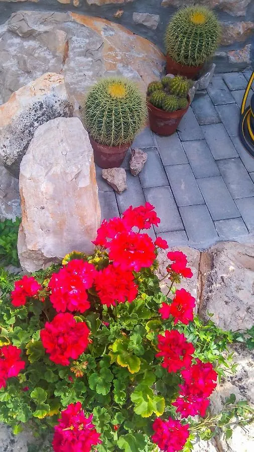 Apartment Li Tar-Vabriga